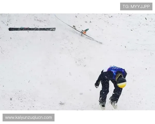 畅游开云网页版入口：最佳使用体验分享